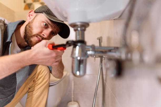 Best Plumbing Inspection Services  in Round Lake Park, IL